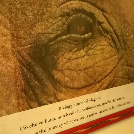 Leonardo's Panzió